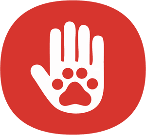 Tomografias do Jack e do Spike