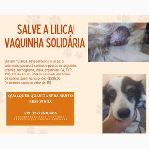 Salvem a Lilica!