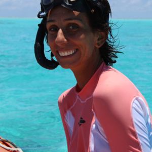 Mergulhando nas ilhas oceânicas brasileiras