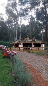 Projeto Casinha de Brincar