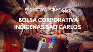 Bolsa Corporativa +Diverso | Indígenas