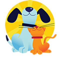 AJUDEM A FOCINHOS DE LUZ A SALVAR SEUS ANIMAIS