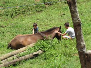 Sitio Pedagógico Vó Alaide
