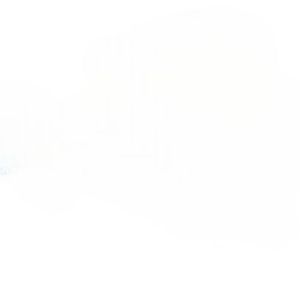 Instituto Ajinomoto: unidos pelo Rio Grande do Sul