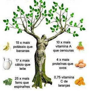 MORINGA OLEIFERA PRO-VIDA