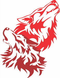 Projeto de cães para pessoas com deficiência e autismo (TEA)