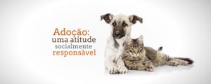 Campanha de controle de animais de estimação.
