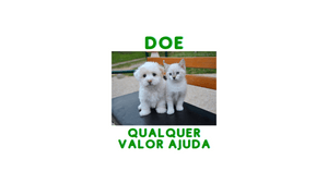 Ajude filhotes e adultos abandonados