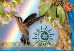 Campanha Casa de Feitio do Brilho das Aguas