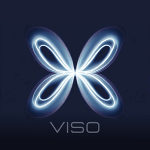 ULTRAPASAFE - Ultrapassagens Seguras