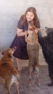 AJUDE RECANTO 4 PATAS