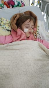 Ajude no tratamento da Liza 