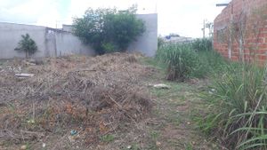 construindo um sonho de mae e filha