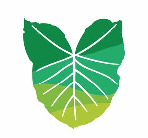 Pré lançamento do livro Açúcar, álcool e vinagre: Celebrando a arte da fermentação