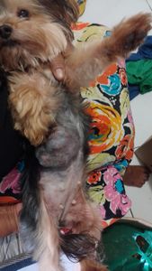 Preciso de uma cirurgia para voltar a ter uma vida maravilhosa.