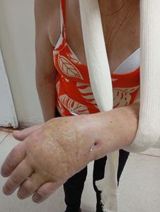 ASSISTENCIA SOLIDÁRIA