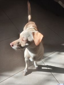 Ajudando a pequena Lua. 🌙