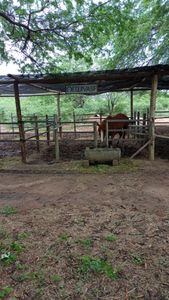 Melhora do setor de equideocultura da UNIVASF