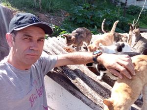 Ajuda para castrar os gatos da carbureto 