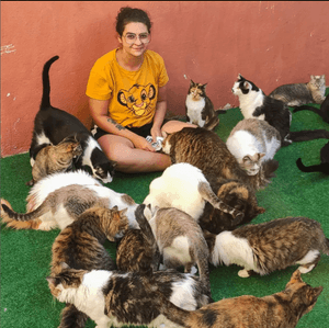 Meu Gatil, minha Vida