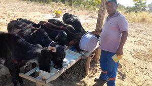 Realização de um sonho