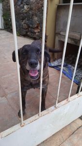 O Negão precisa de você 