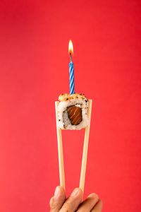 Invista na maior Rede de Temakerias do Brasil! imagem 9