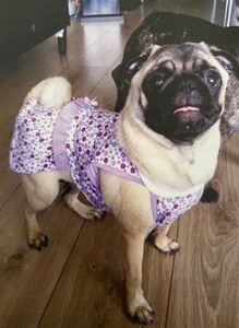 Vaquinha Online - Ajude a Olívia!