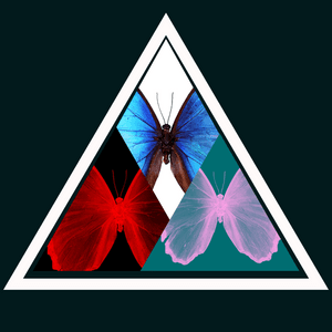 Causas e Comunidade - Narcisista & Você