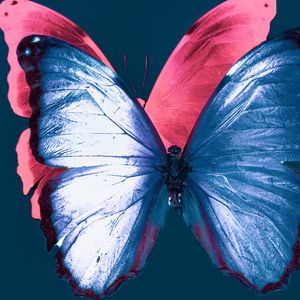 Narcisista e Você - Narcisista & Você