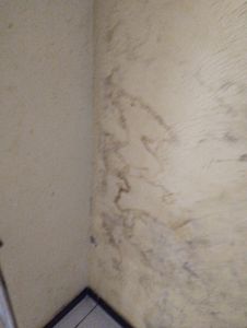 Vaquinha Online - A espera de ajuda 