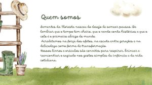 Livro - Sementes da Floresta