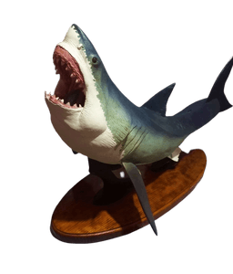 #curso-gratuito-solidário-de-estética-animal imagem 70