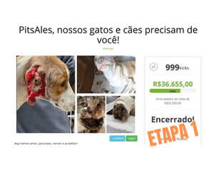 Financiamento Coletivo - PitsAles: nossos gatos e cães ainda precisam de você! Etapa 2