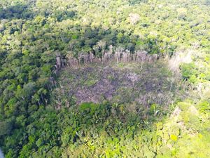 Amazonia Forever imagem 8