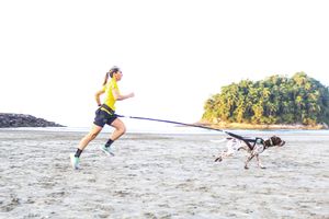 Vaquinha Online - Balaco Braco no Mundial ICF com Woody