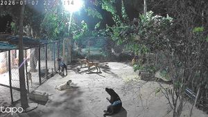 Juntos por um Lar Mais Digno em Salto!