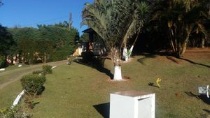 Saúde e Emergências - Uma nova chance para a vida 