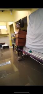 Ajude a Emizer a recuperar seus bens após as chuvas do Rio de Janeiro! imagem 8