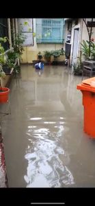 Ajude a Emizer a recuperar seus bens após as chuvas do Rio de Janeiro! imagem 9