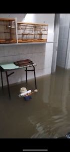 Causas e Comunidade - Ajude a Emizer a recuperar seus bens após as chuvas do Rio de Janeiro!