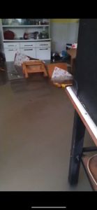 Ajude a Emizer a recuperar seus bens após as chuvas do Rio de Janeiro! imagem 7