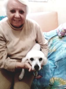 Vaquinha Online - Sospatinhas 