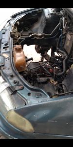 Priscilla Muniz / Táxi Dog & Cats - Quero trabalhar e preciso da sua ajuda para consertar meu carro.