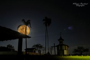 Livro - Livro: Um Certo Rosário II – Milho Verde / MG