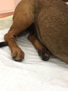 Ajude a Vitória - Ajude a Vitória