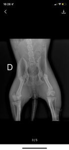 Ajude a Vitória imagem 9