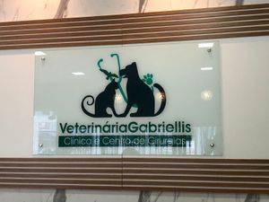 Ajude a Vitória imagem 7