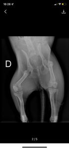 Ajude a Vitória imagem 8