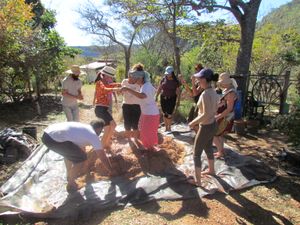 Expedição Gaia! Preparando futuros agentes de mudanças - Expedição Gaia! Preparando futuros agentes de mudanças